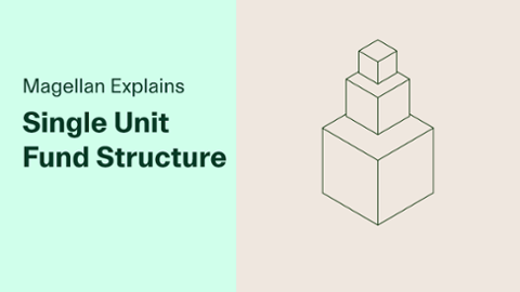 

		
		
		Magellan Explains: Single Unit Structure